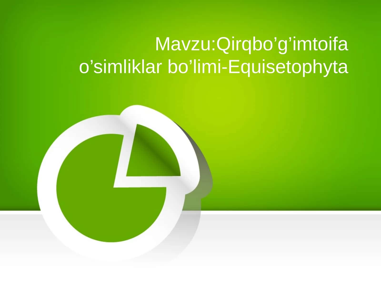 Qirqbo’g’imtoifa o’simliklar bo’limi-Equisetophyta