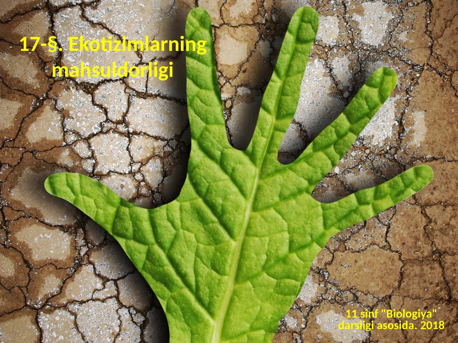 Ekotizimlarning mahsuldorligi