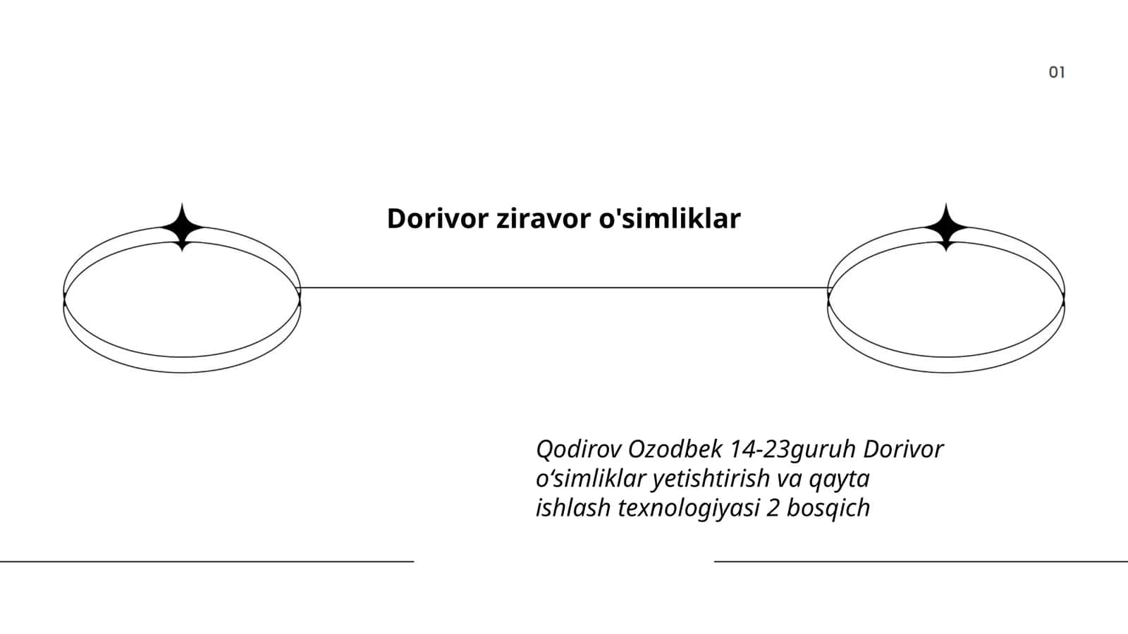 Dorivor ziravor o'simliklar
