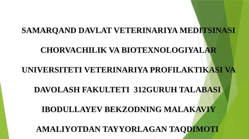 Malakaviy Amaliyotdan Tayyorlagan Taqdimoti