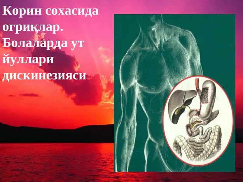 Корин сохасида огриқлар. Болаларда ут йуллари дискинезияси
