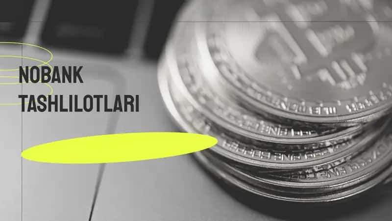 Nobank kredit tashkilotlari