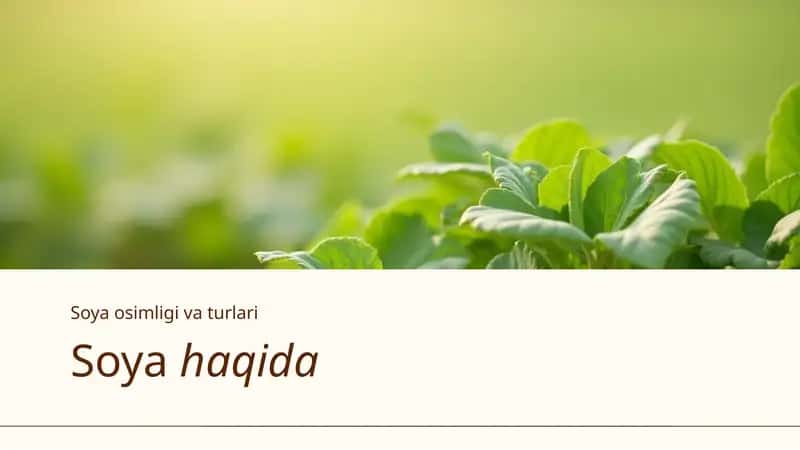Soya osimligi va turlari