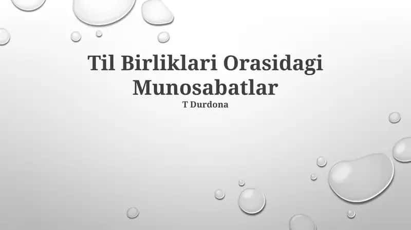 Til Birliklari Orasidagi Munosabatlar