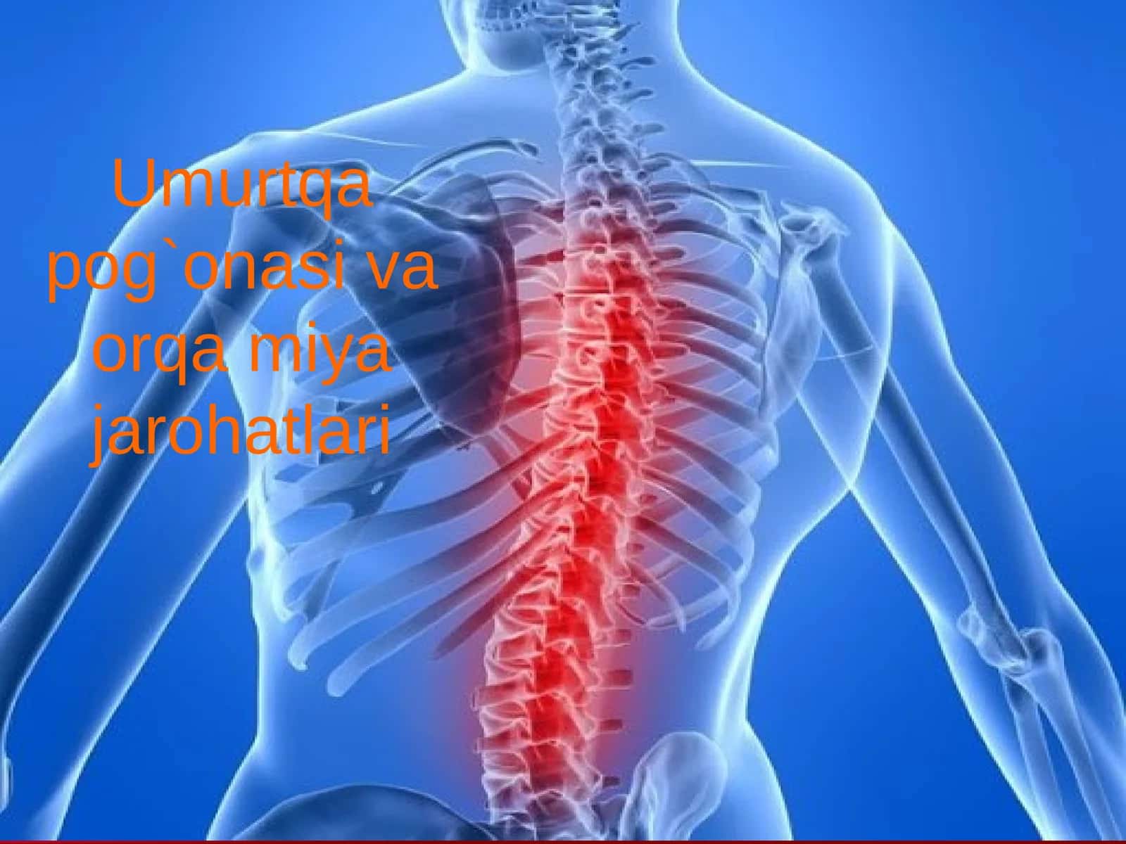 Umurtqa pog`onasi va orqa miya jarohatlari