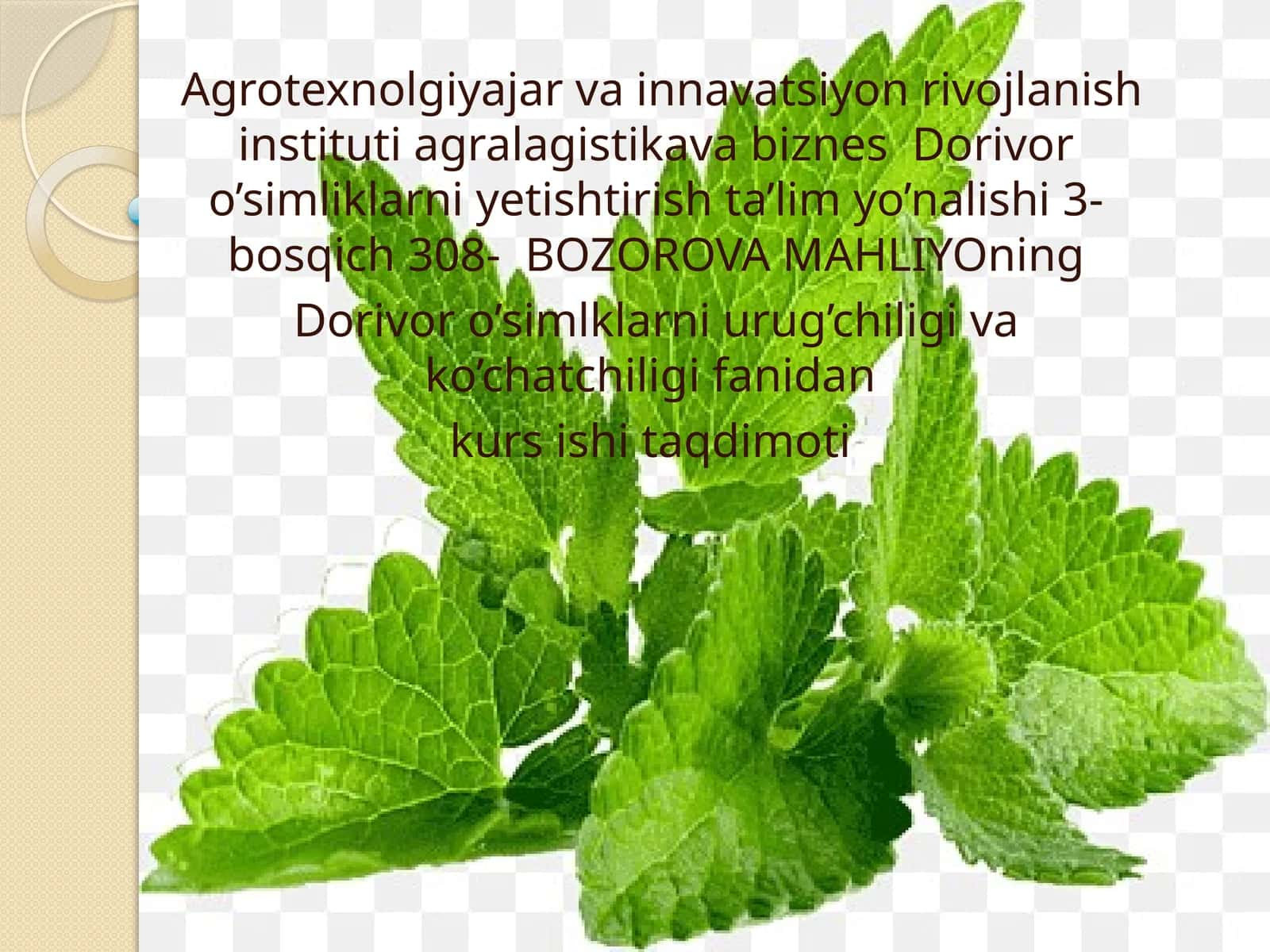 Limono’to’simliginiyetishtirish, dorivorlik xususiyati va umumiy ta’rif