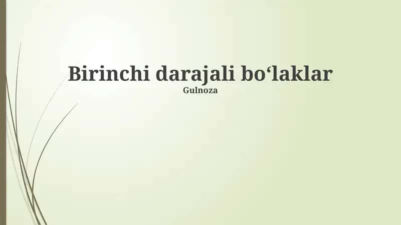 Birinchi Tartibli Parchalar