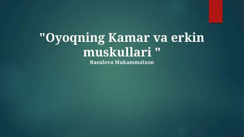 Oyoqning Kamar va erkin muskullari
