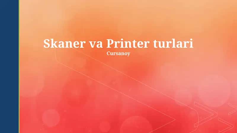 Skannerlar turlari