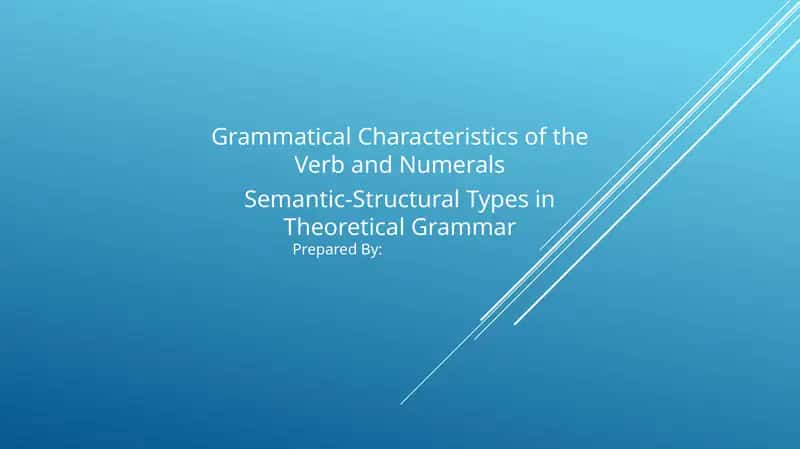 Grammatical Characteristics of the Verb and Numerals. Semantic-Structural Types in Theoretical Grammar