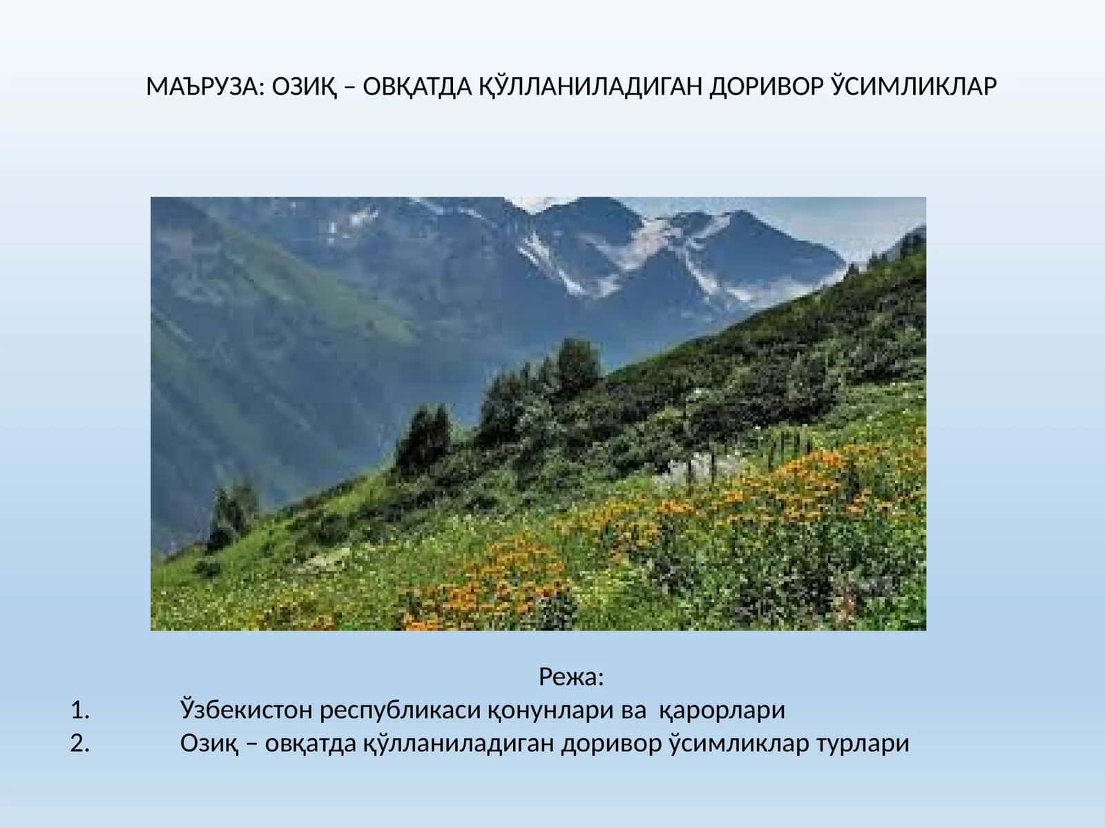 Озиқ – овқатда қўлланиладиган доривор ўсимликлар