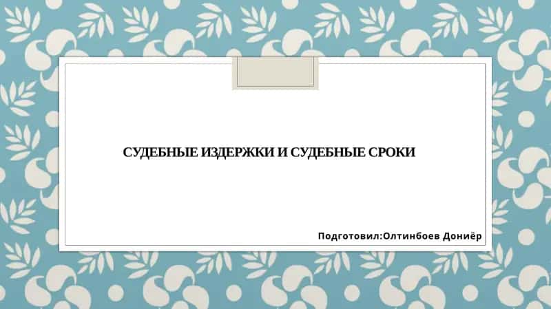 Судебные издержки и судебные сроки