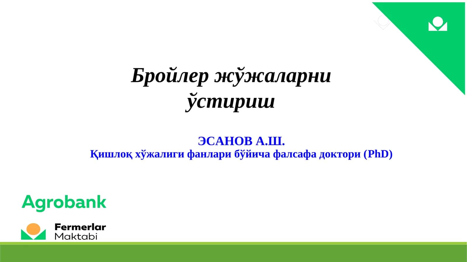 Бройлер жўжаларни ўстириш