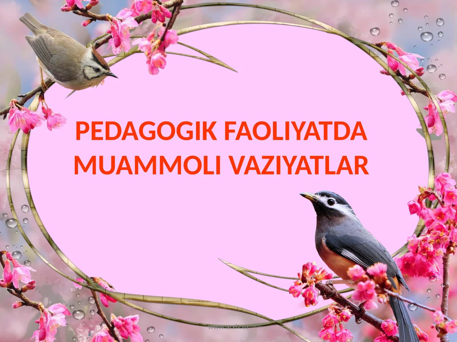 PEDAGOGIK FAOLIYATDA MUAMMOLI VAZIYATLAR