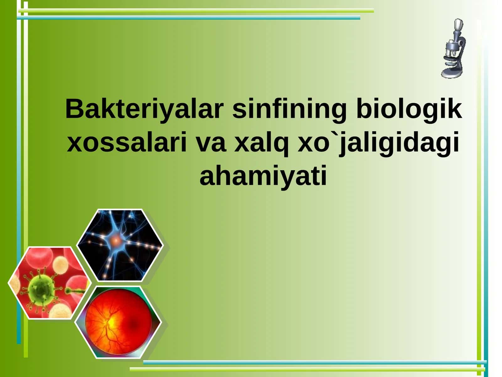 Bakteriyalar sinfining biologik xossalari va xalq xo`jaligidagi ahamiyati