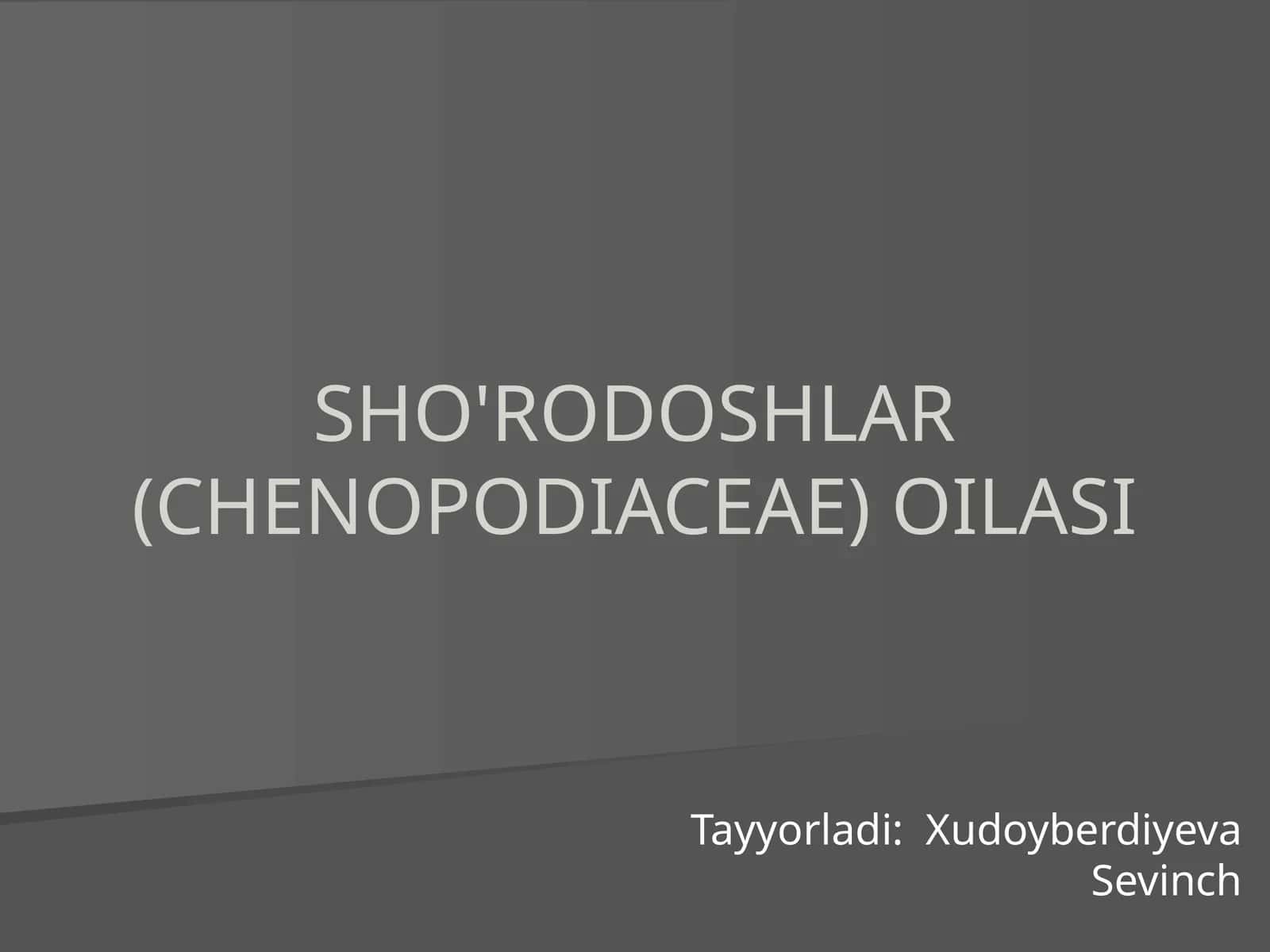SHO'RODOSHLAR (CHENOPODIACEAE) OILASI
