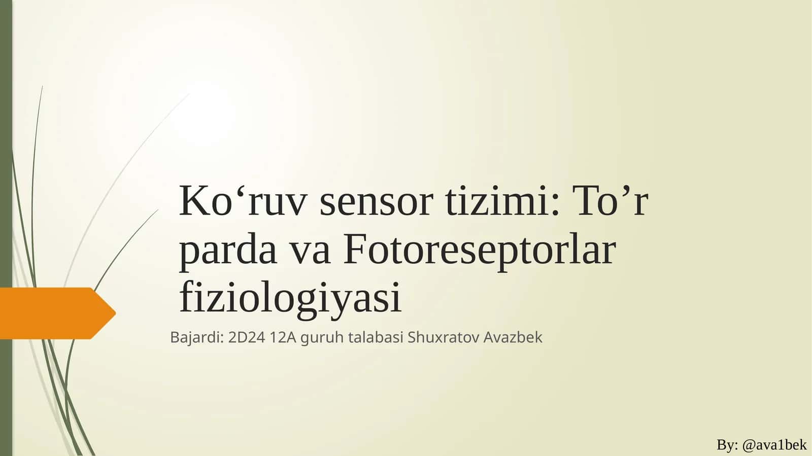 Ko‘ruvsensortizimi:To’r parda va Fotoreseptorlar fiziologiyasi