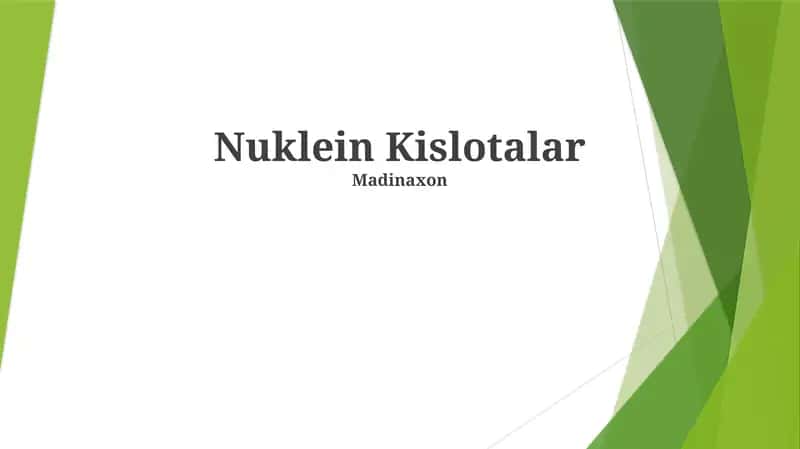 Nuklein Kislotalar