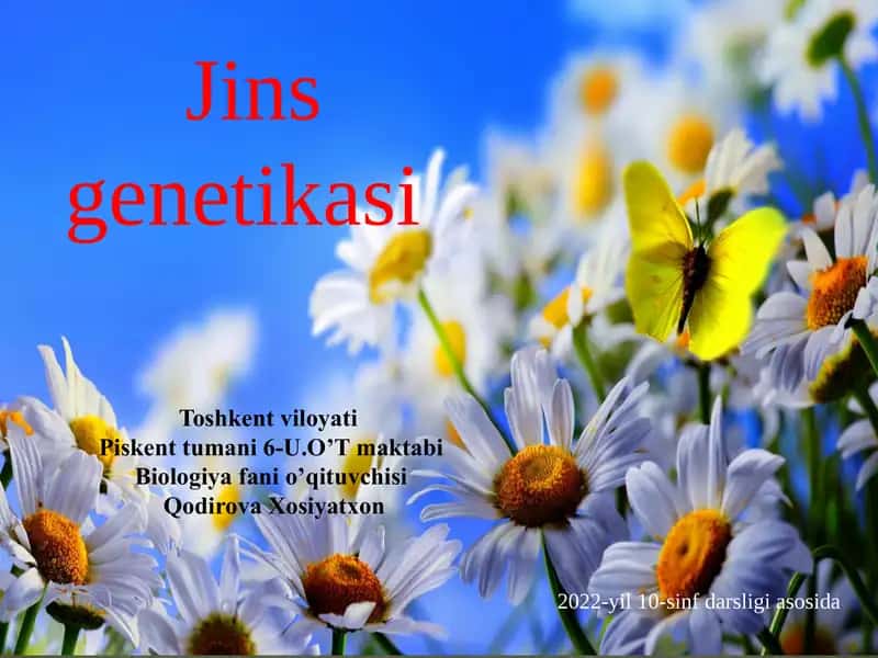 Jins genetikasi