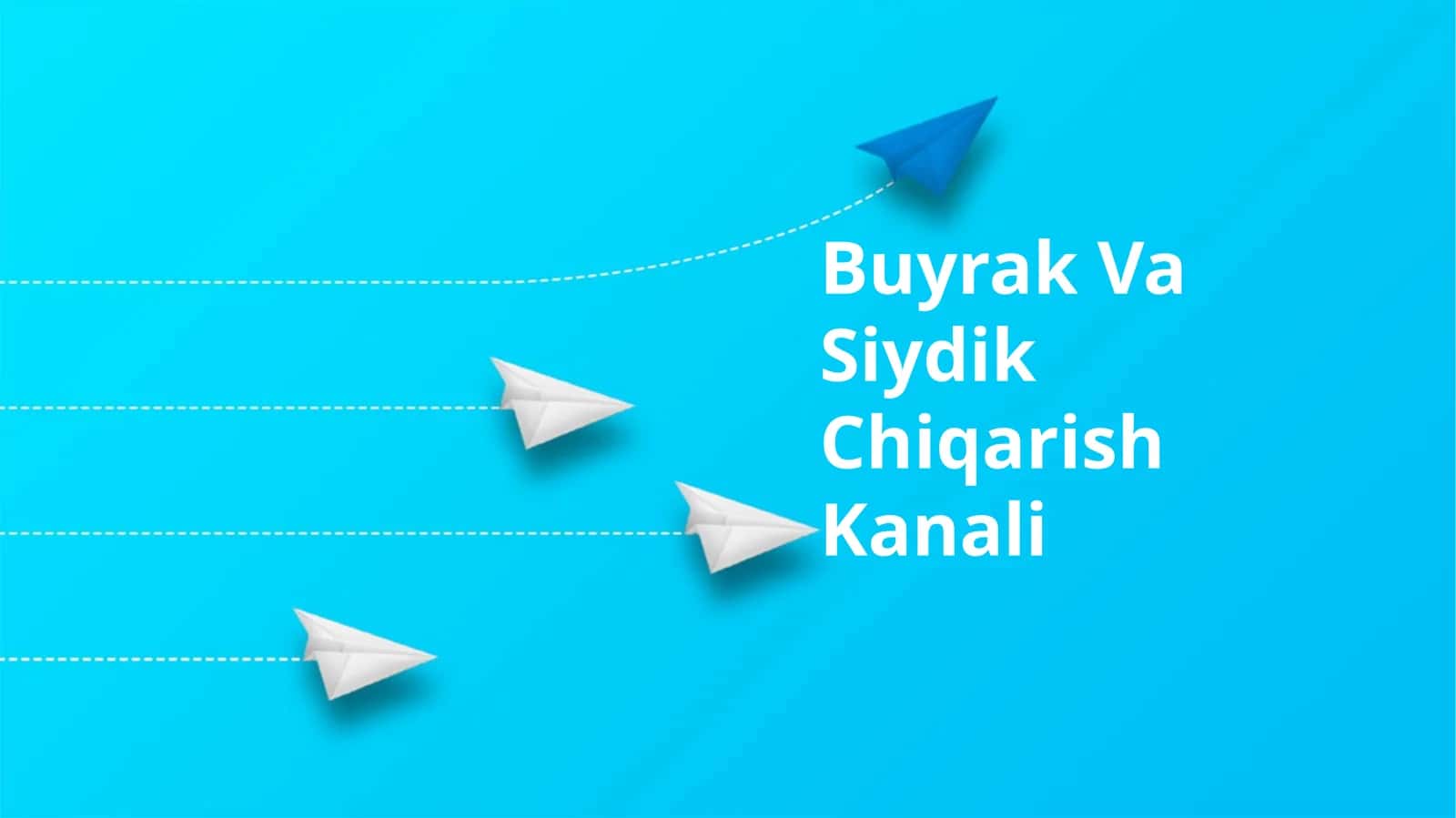 Buyrak Va Siydik Chiqarish Kanali