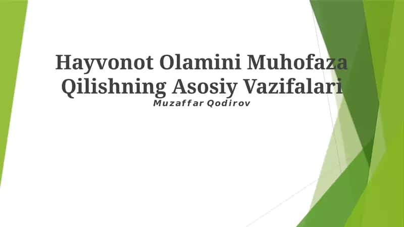Hayvonot Olamini Muhofaza Qilishning Asosiy Vazifalari