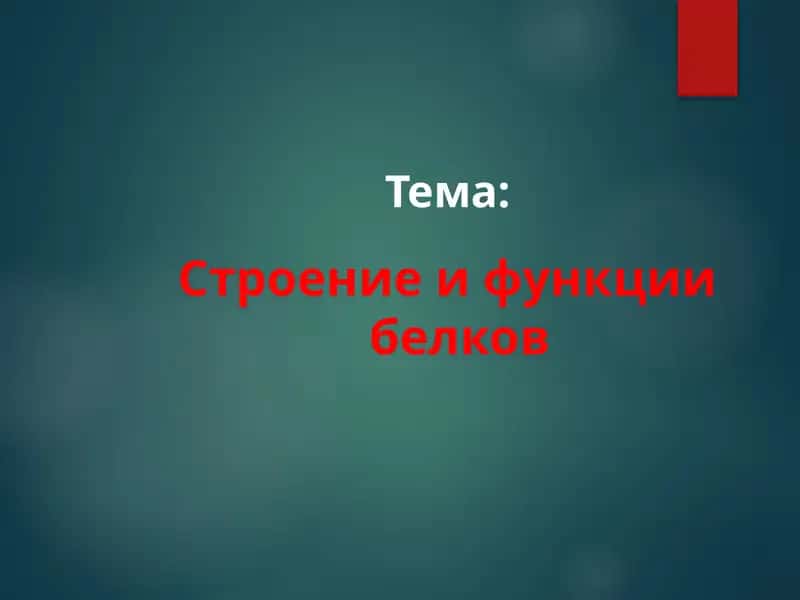 Строение и функции белков