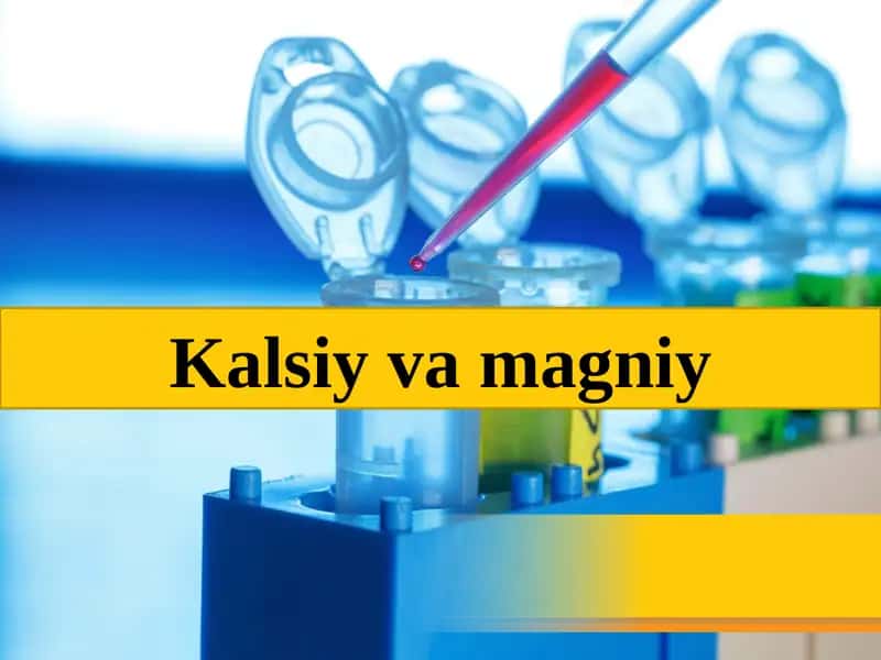 Kalsiyvamagniy