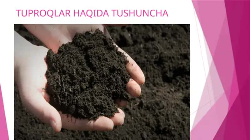 Тuproq Haqida Tushuncha