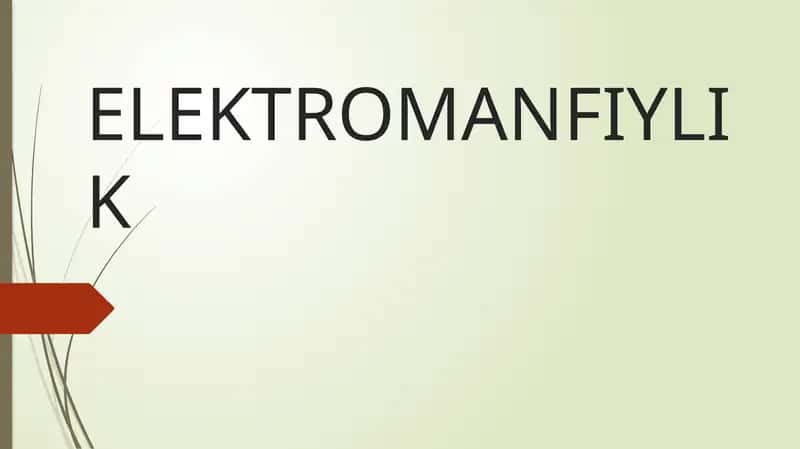 Elektromanfiylik
