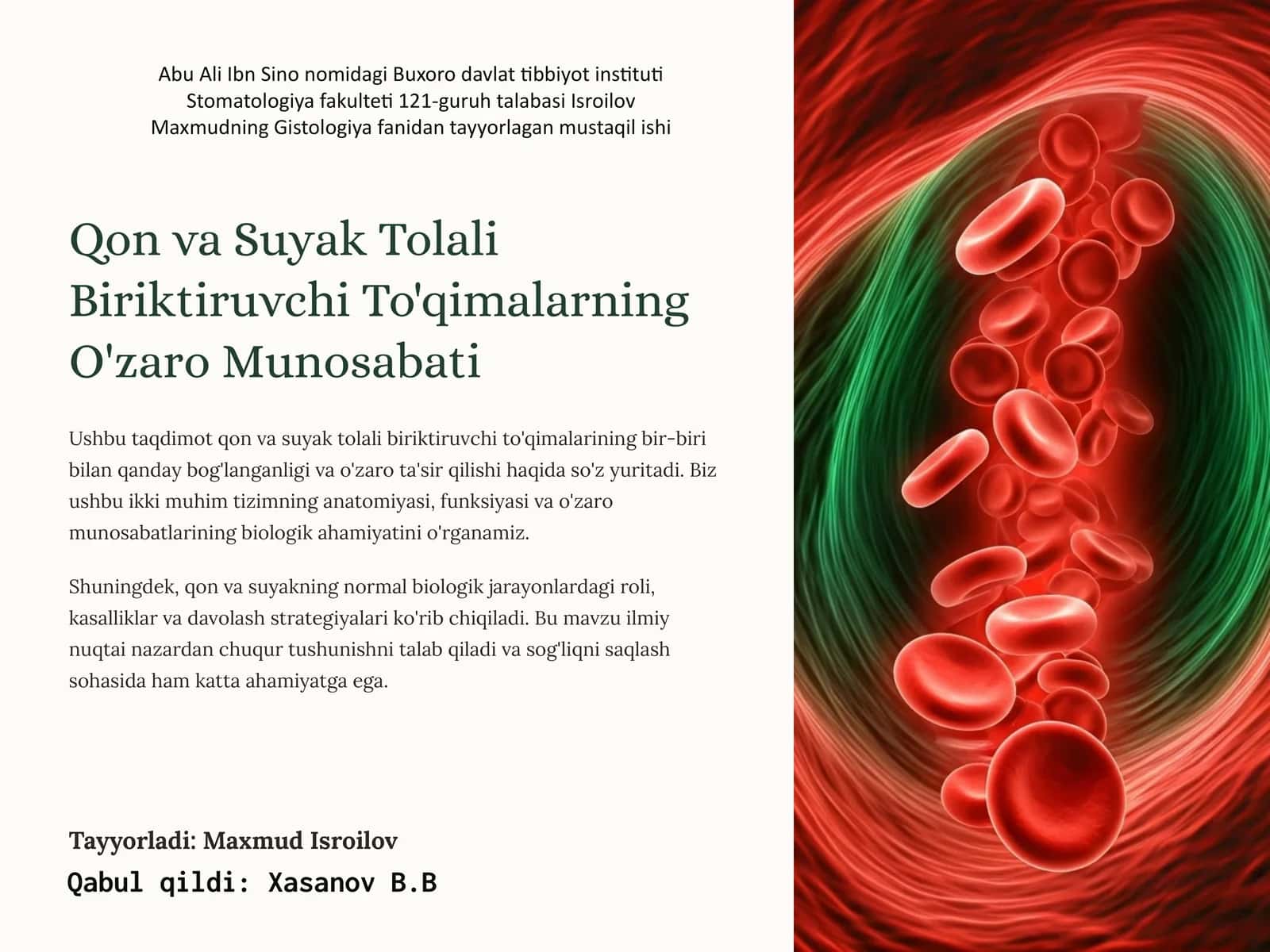 Qon va Suyak Tolali Biriktiruvchi To'qimalarning O'zaro Munosabati