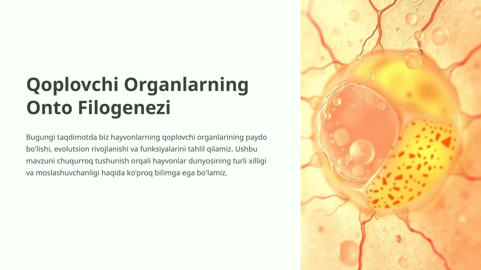 Qoplovchi Organlarning Onto Filogenezi