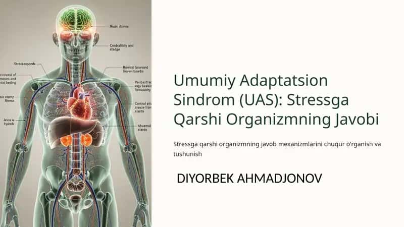 Umumiy Adaptatsion Sindrom (UAS): Stressga Qarshi Organizmning Javobi
