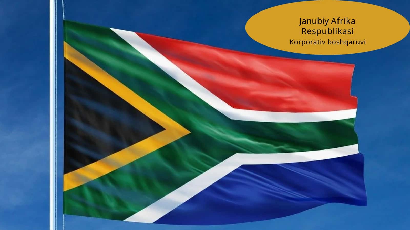 Januviy Afrika korporativ boshqaruvi