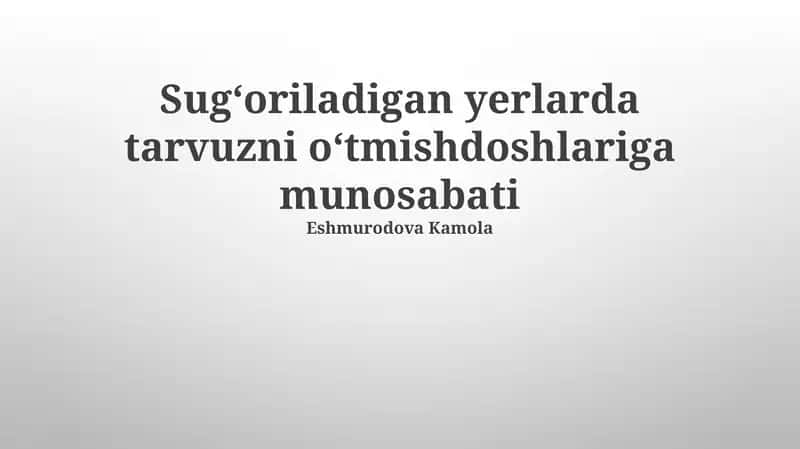 Sugʻoriladigan yerlarda tarvuzni oʻtmishdoshlariga munosabati