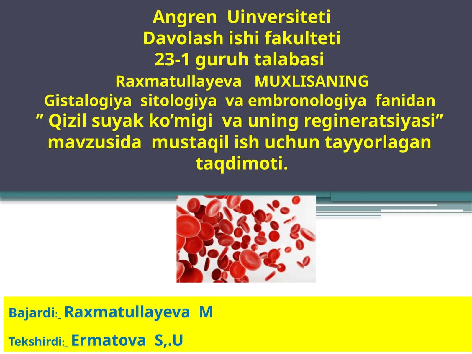 Qizil suyak ko’migi va uning regeneratsiyasi