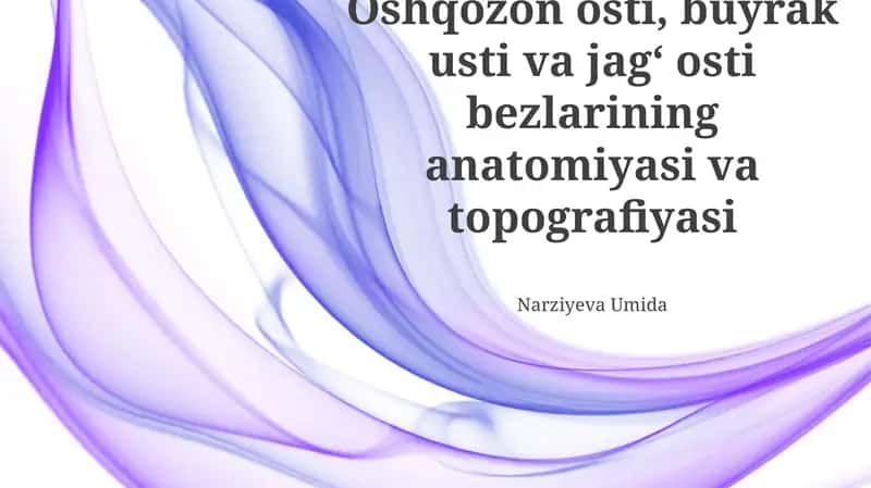Buyrak usti bezlarining anatomiyasi va topografiyasi