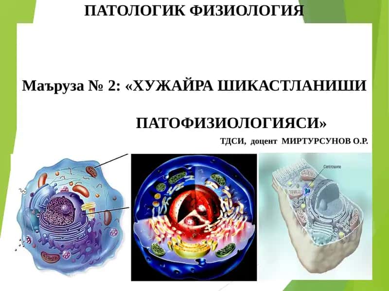 ПАТОЛОГИК ФИЗИОЛОГИЯМаъруза № 2: «ХУЖАЙРАШИКАСТЛАНИШИПАТОФИЗИОЛОГИЯСИ»