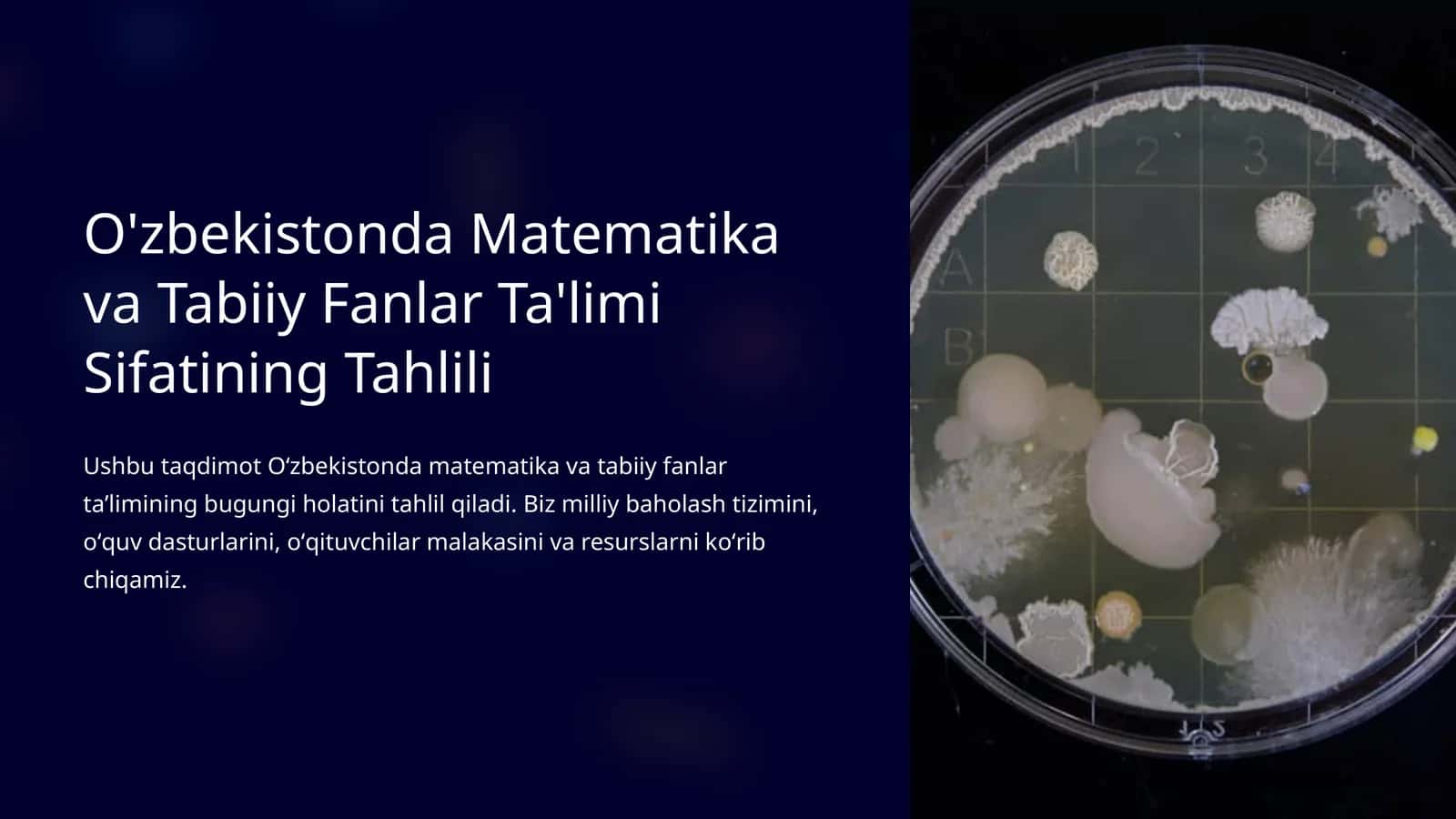 O'zbekistonda Matematika va Tabiiy Fanlar Ta'limi Sifatining Tahlili