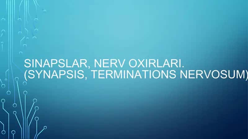 Sinapslar