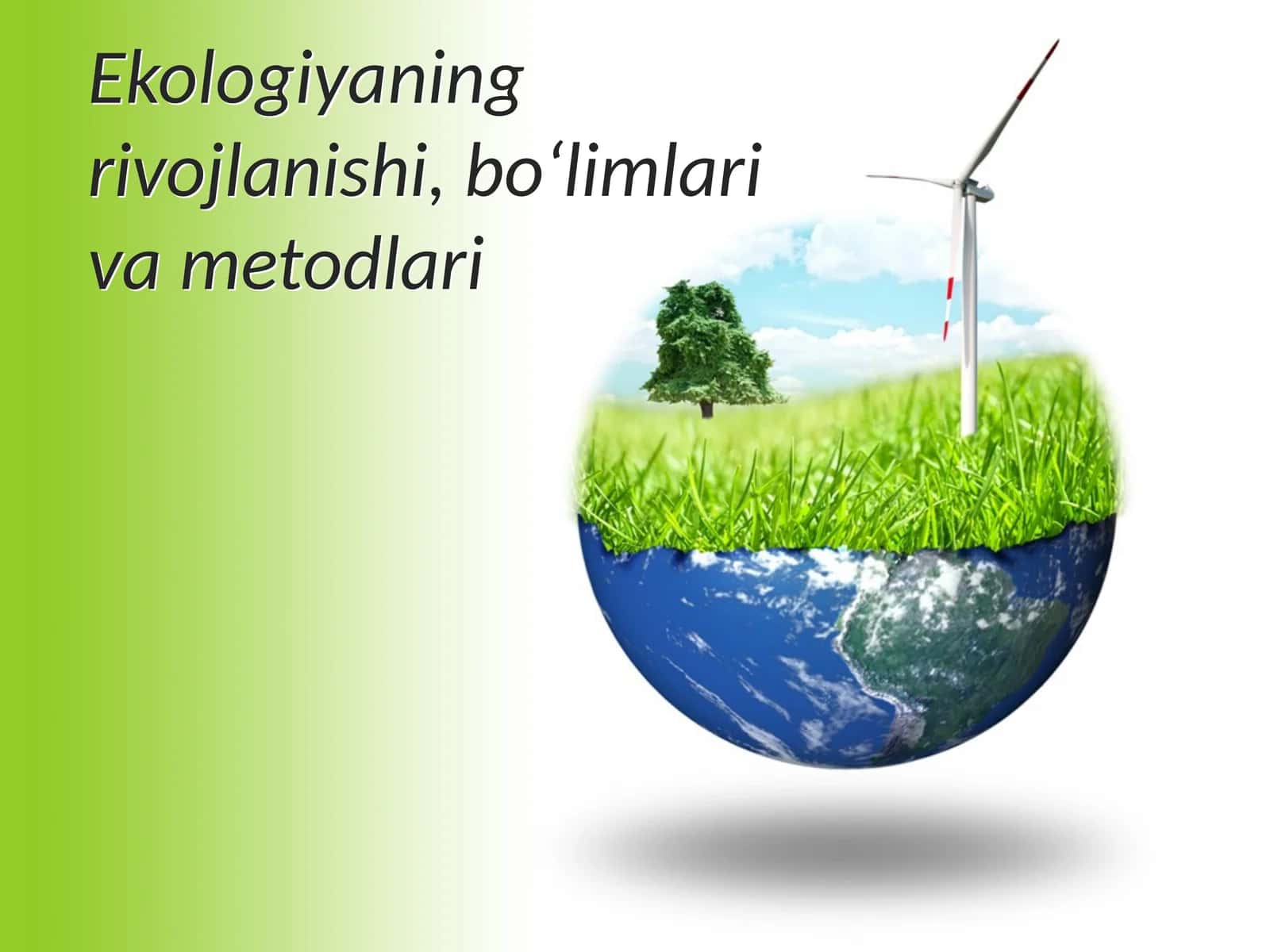 Ekologiyaning rivojlanishi, bo‘limlari va metodlari