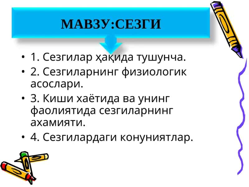 Сезги