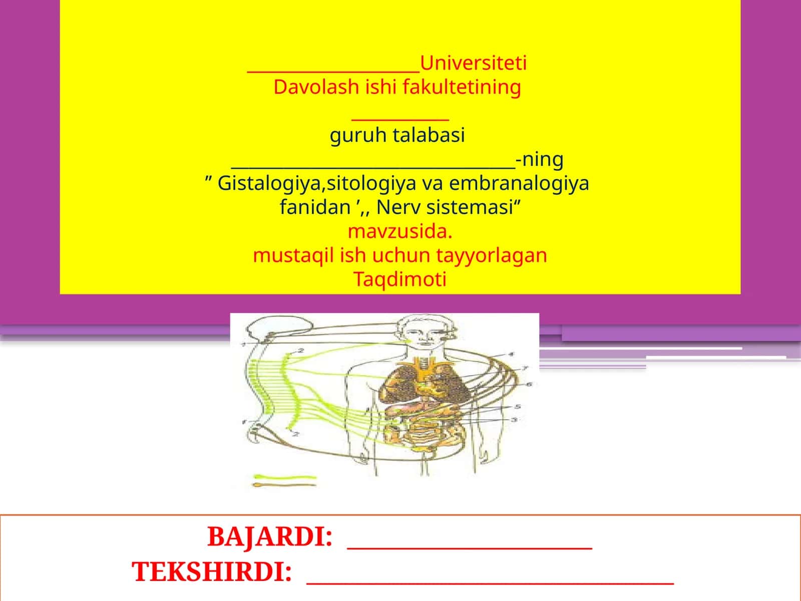Nervsistemasi