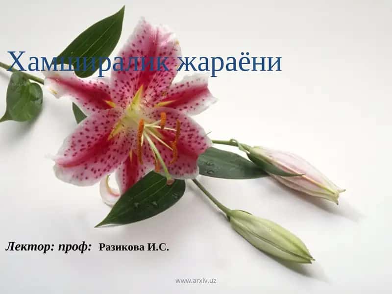 Хамширалик жараёни