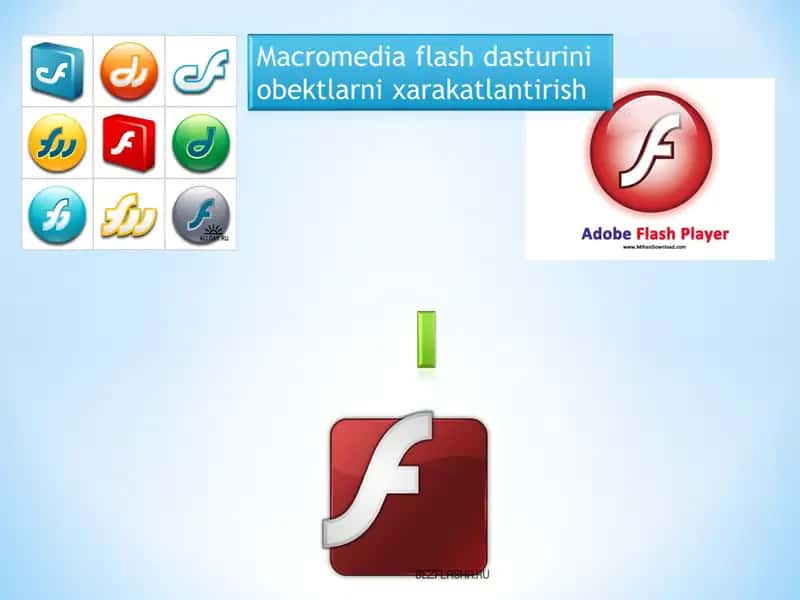 Macromedia Flashдастури