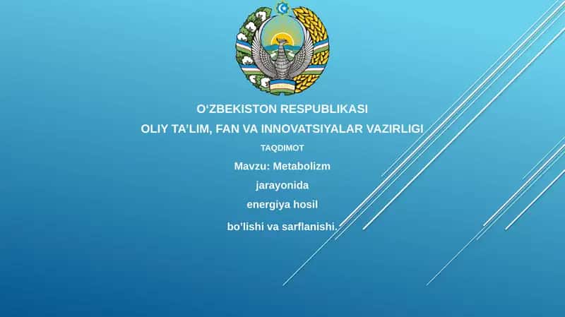 Metabolizm jarayonida energiya hosil bo'lishi