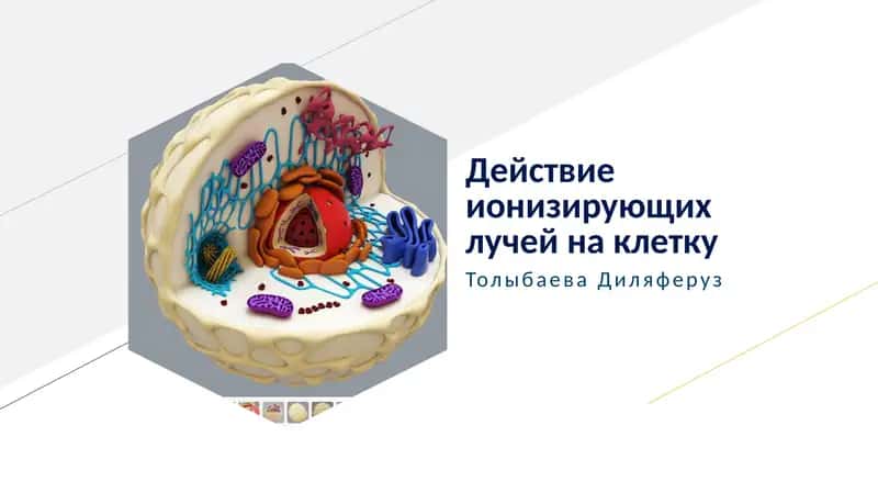 Действие ионизирующих лучей на клетку