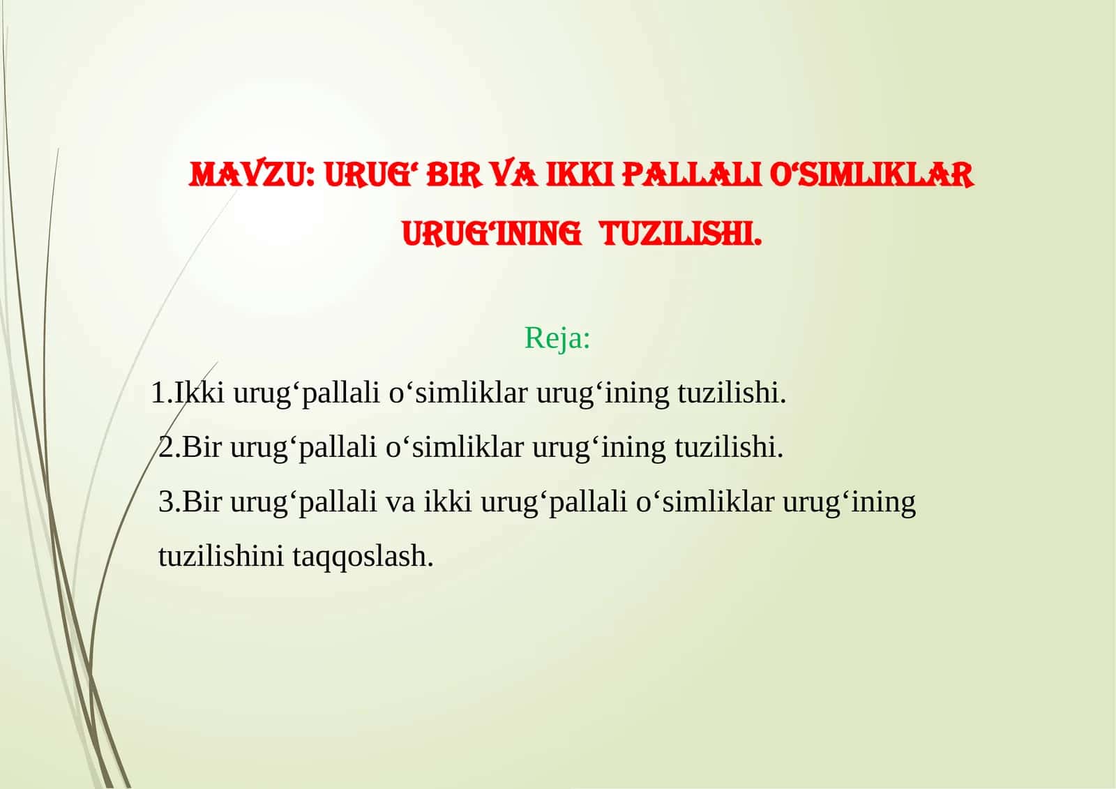 Urug‘ birvaikki pallali o‘simliklarurug‘iningtuzilishi