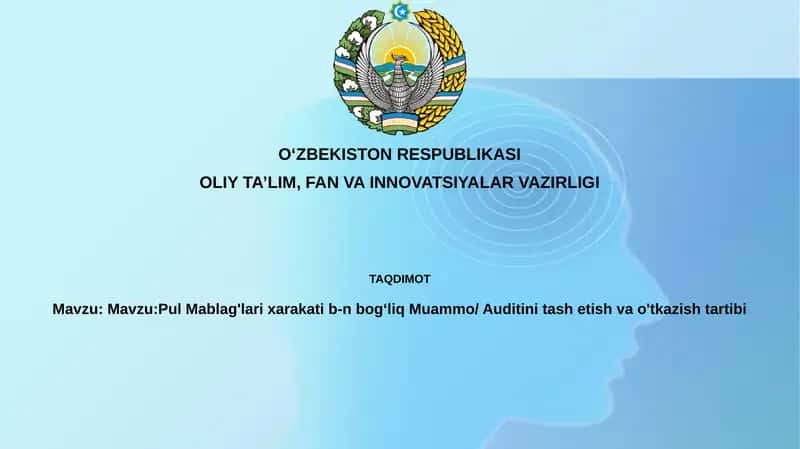 Pul Mablag'larixarakatib-nbogʻliqMuammo/Auditinitashetishvao'tkazishtartibi