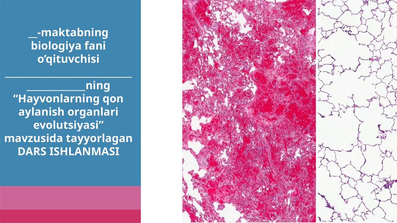 11-sinf Biologiyadan dars ishlanma. Hayvonlarning qon aylanish organlari evolutsiyasi