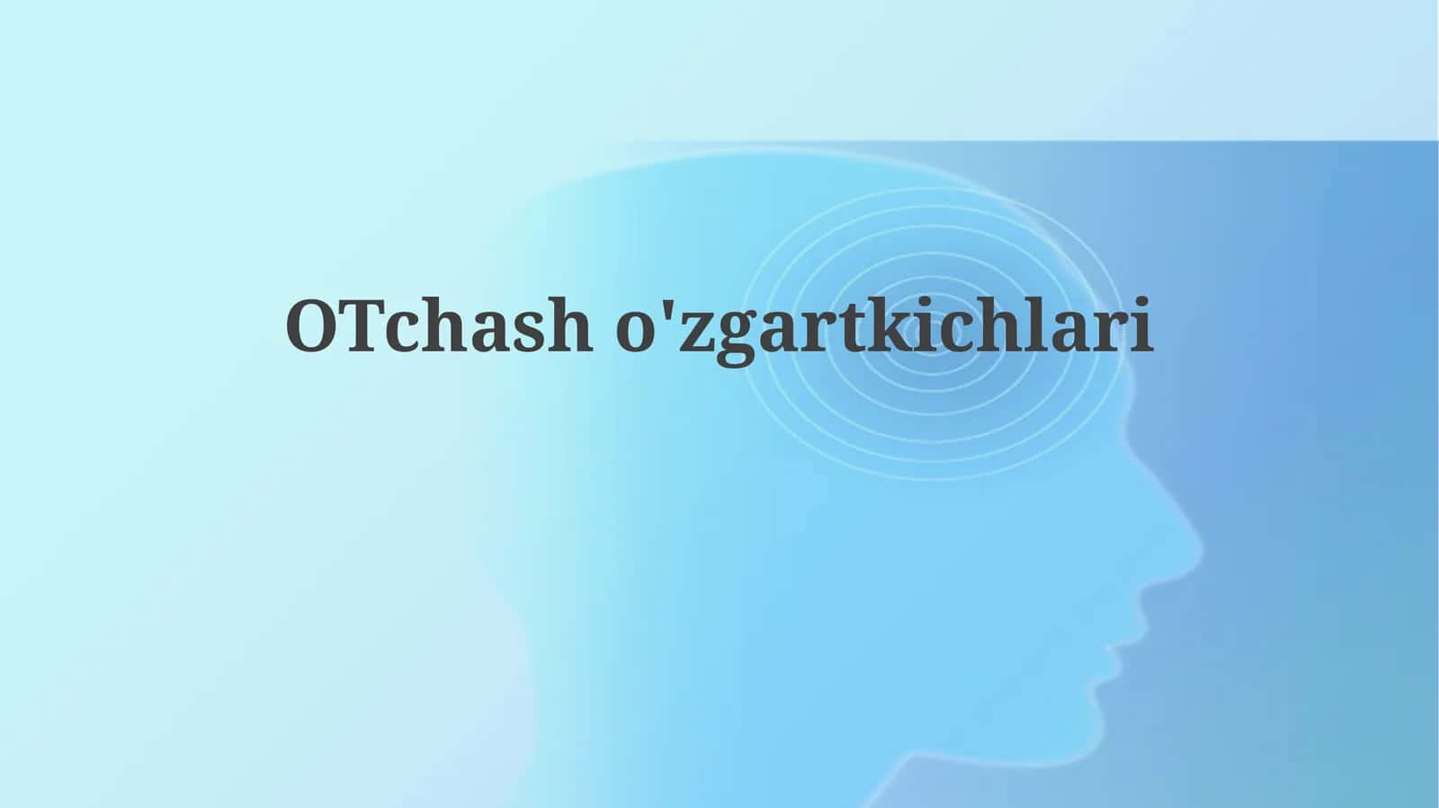 O'zgaruvchi konvertorlari